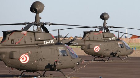 В Тунисе в результате крушения вертолета погибли трое военных