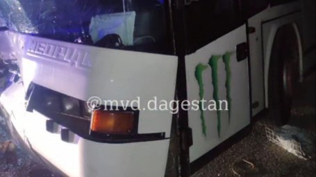 В Дагестане автобус сбил корову, водитель и пассажир в больнице