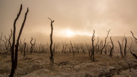 Жизнь в скафандрах: ученые смоделировали, как потепление изменит планету